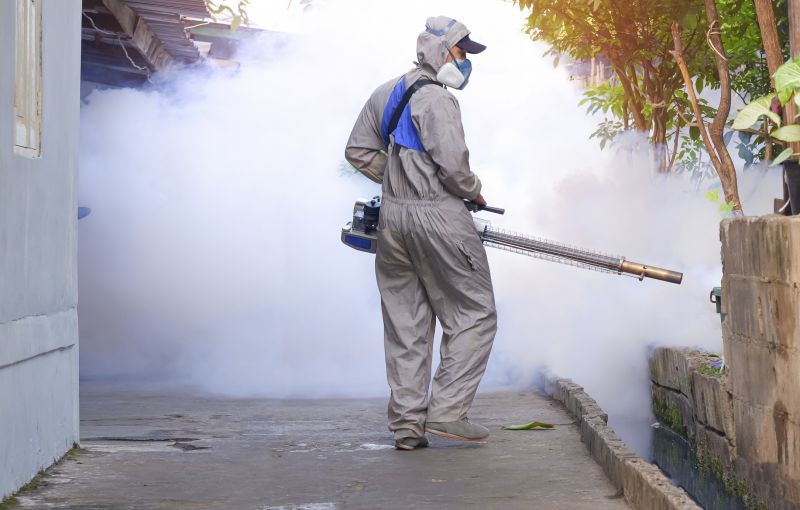 Mosquitoes Pest Control in New Braunfels, TX