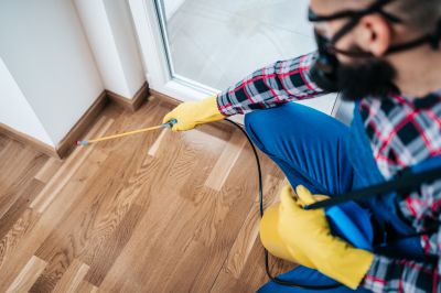 Spider Control Service in Fort Worth, TX