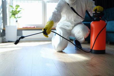 Spider Extermination Service in Katy, TX