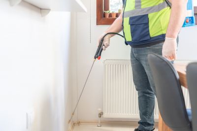 Ants Extermination Service in Fort Worth, TX