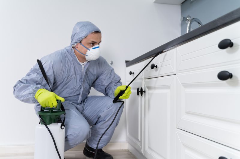 Bug Extermination Service in Katy, TX