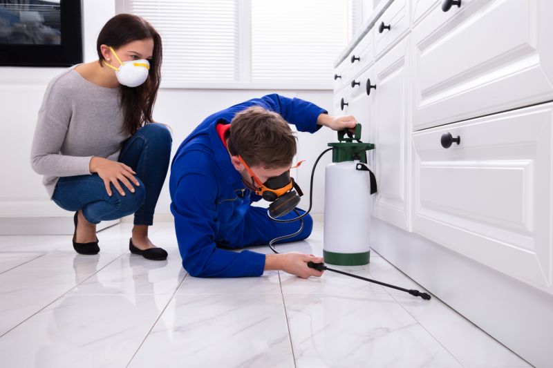 Bug Removal Service in Arlington, TX