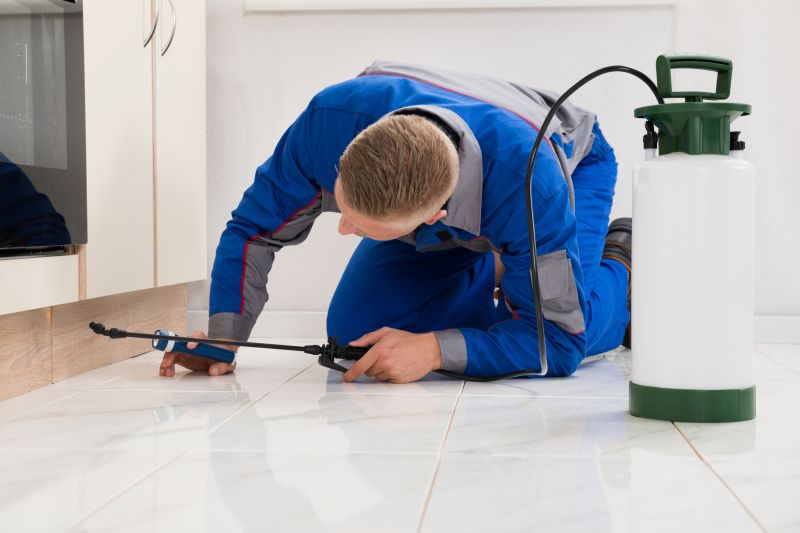 Ladybug Removal in Frisco, TX