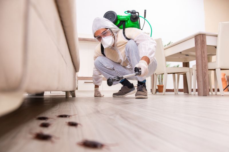 Pest Control Service in Frisco, TX