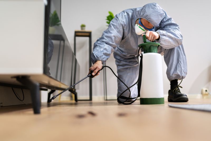 Pest Control Service in Katy, TX