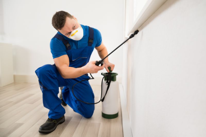 Spider Mite Extermination in Frisco, TX