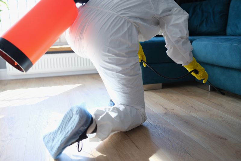 Yard Insect Treatment in Katy, TX